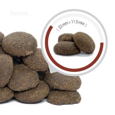 Digest Giant, 12.5 kg | Crocchette per cani di taglia grande con digestione sensibile