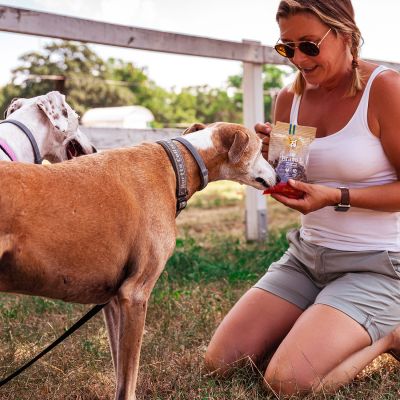 Bravo L, 150 g | Snack per cani senza glutine