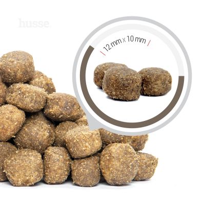 Digest Sensitive, 3x12.5 kg | Crocchette per cani con digestione sensibile