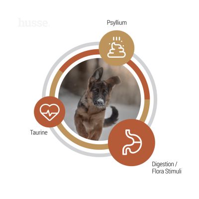 Valp Farm, 12 kg | Crocchette per cuccioli senza cereali