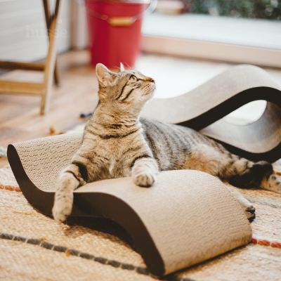 Krusa | Tiragraffi in cartone per gatti