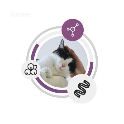 Crocchette per gatti sterilizzati senza cereali | Fresh Sterilised, 7kg