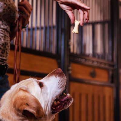 Kex L, 400 g | Snack croccanti per cani