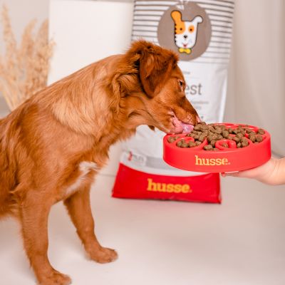 Digest Sensitive, 3x12.5 kg | Crocchette per cani con digestione sensibile