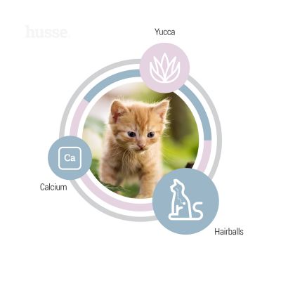 Exclusive Kattunge, 2 kg | Crocchette per gattini