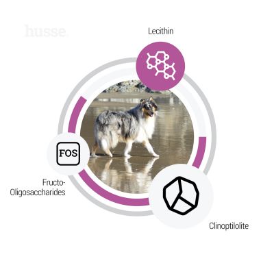 Ocean Care, 2x12.5 kg | Crocchette per cani con digestione sensibile